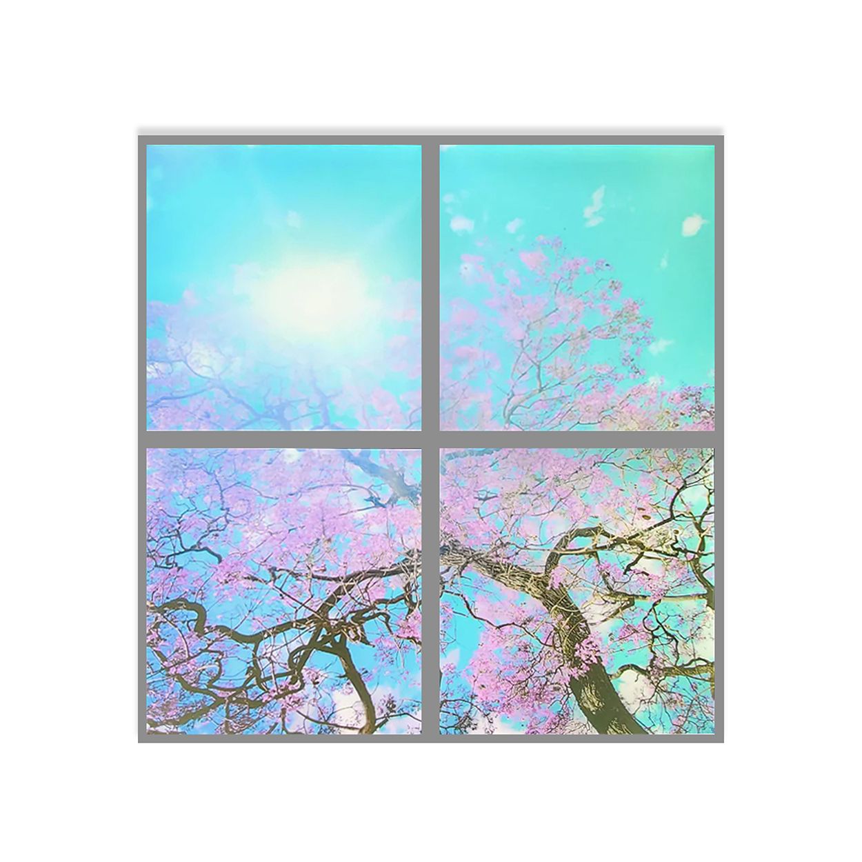 SKY Panel 60x60cms With Cherry Blossom Trees 2D Effect, 4 Pcs Set