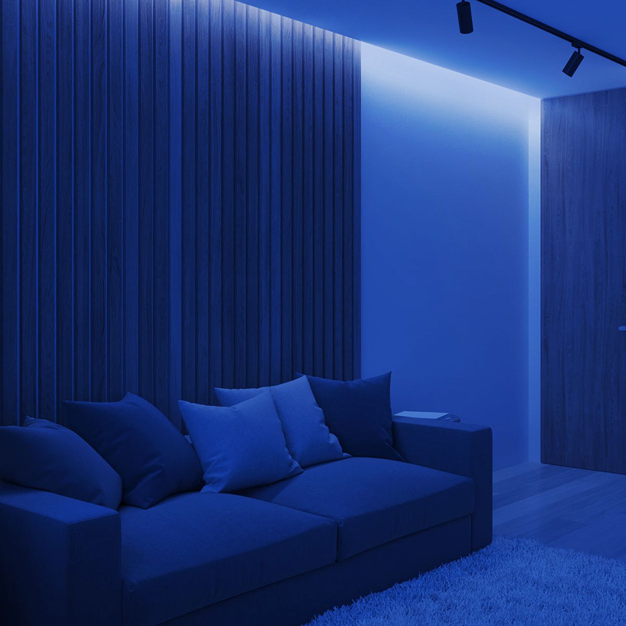 5 Meters COB LED Strip Light 24V, Blue, IP20