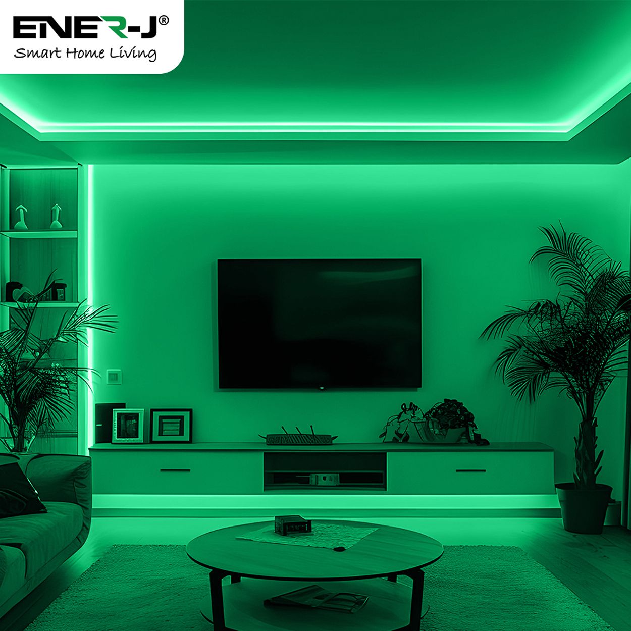 5 meters COB LED Strip Light 24V, Green, IP20