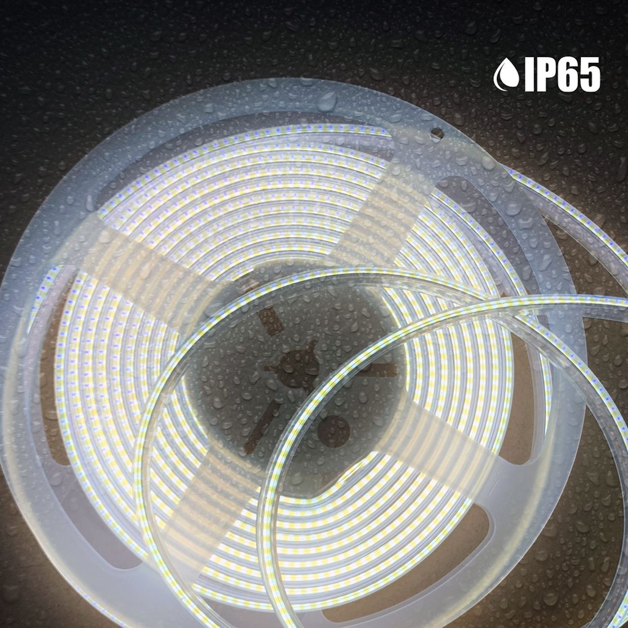 5m 24V COB LED Strip Lights 6000K, IP65