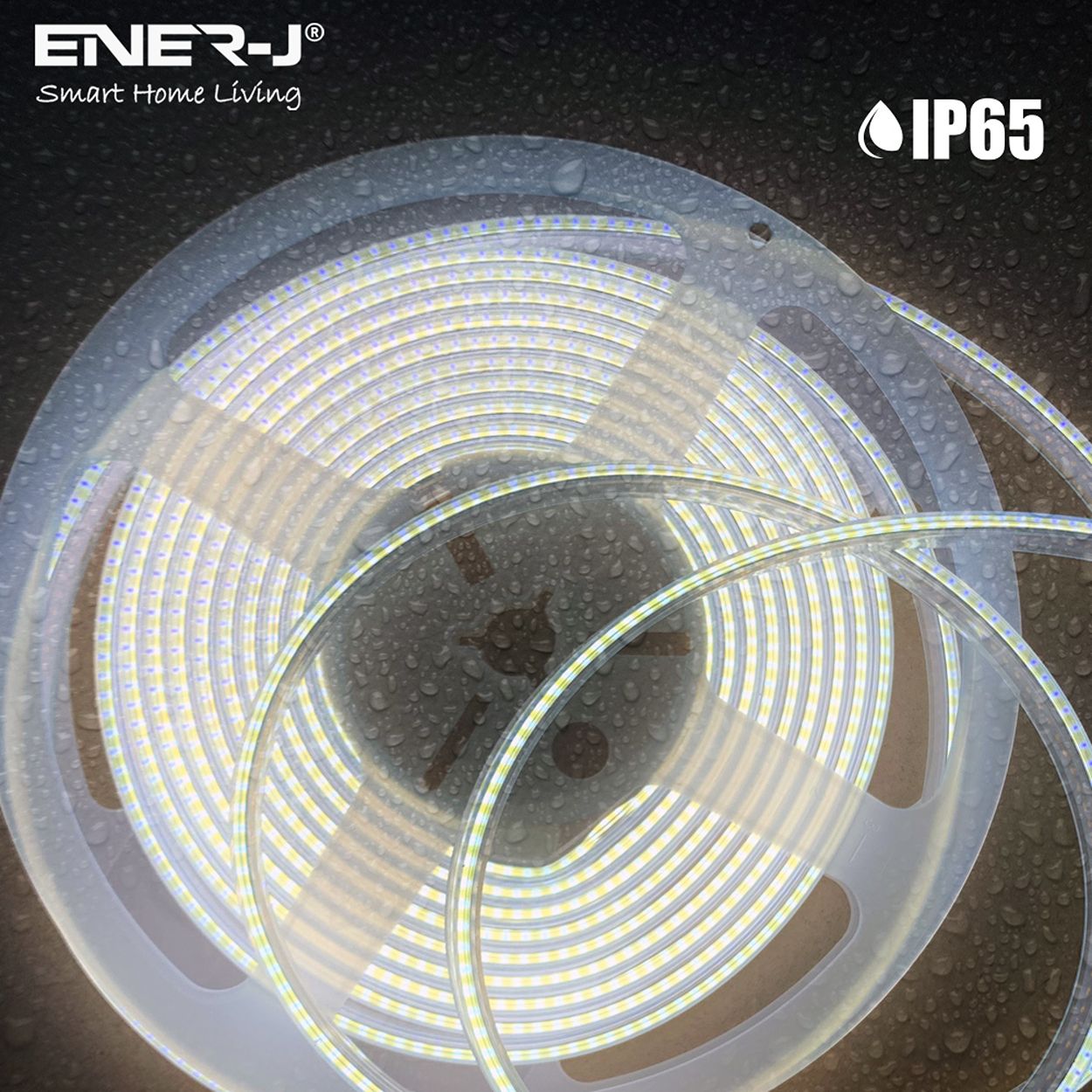 30 meters COB LED Strip Light 24V, 6000K, IP20