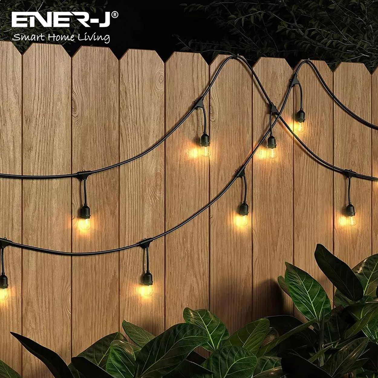 100 Feet LED Filament Bulb String Light Kit (inc 30x1W Filament LED Lamps)