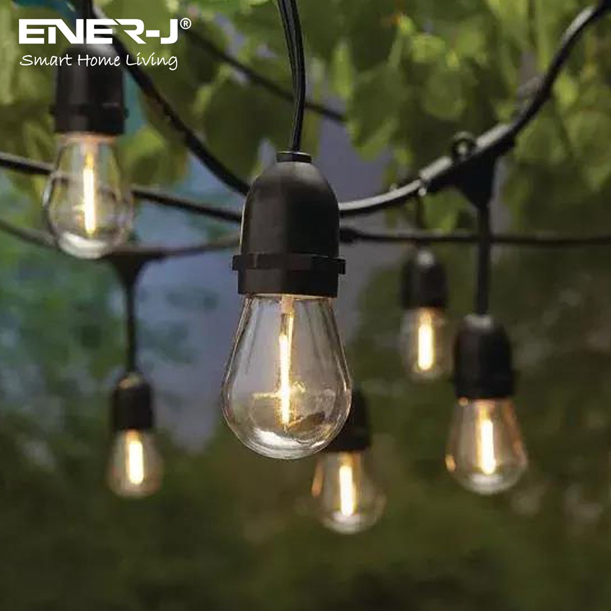100 Feet LED Filament Bulb String Light Kit (inc 30x1W Filament LED Lamps)