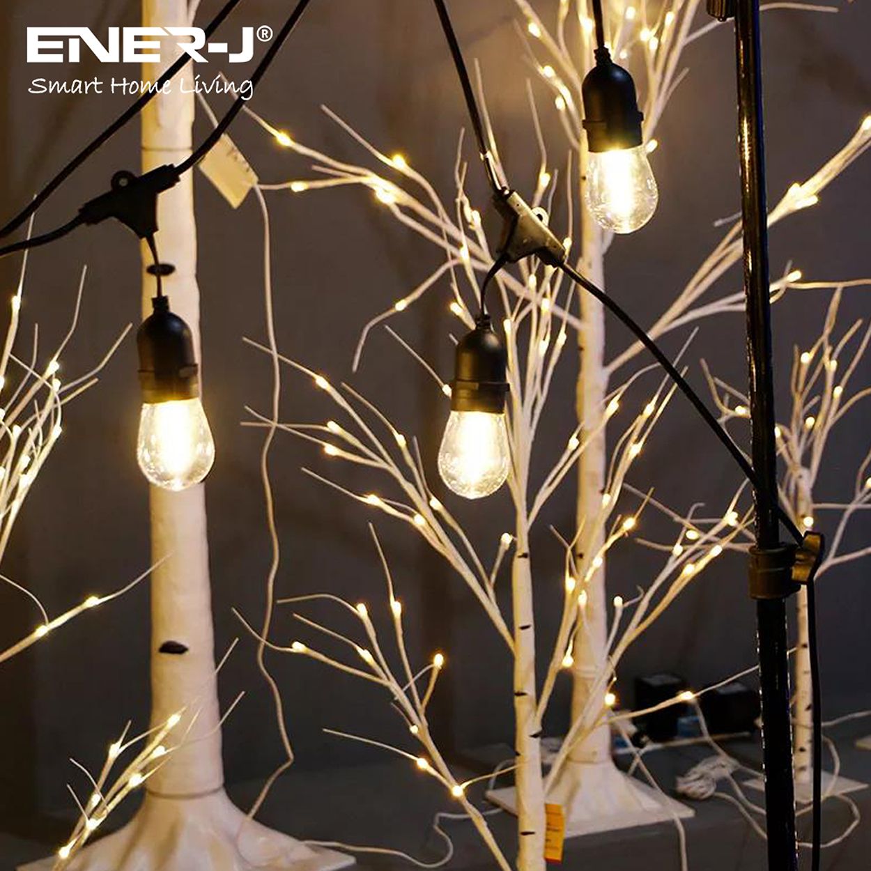 100 Feet LED Filament Bulb String Light Kit (inc 30x1W Filament LED Lamps)