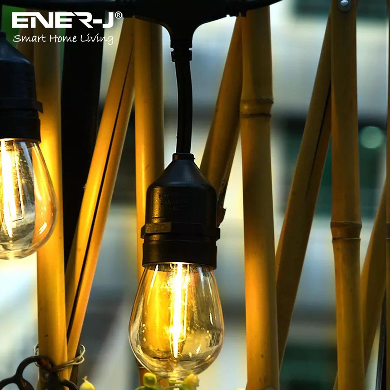 100 Feet LED Filament Bulb String Light Kit (inc 30x1W Filament LED Lamps)