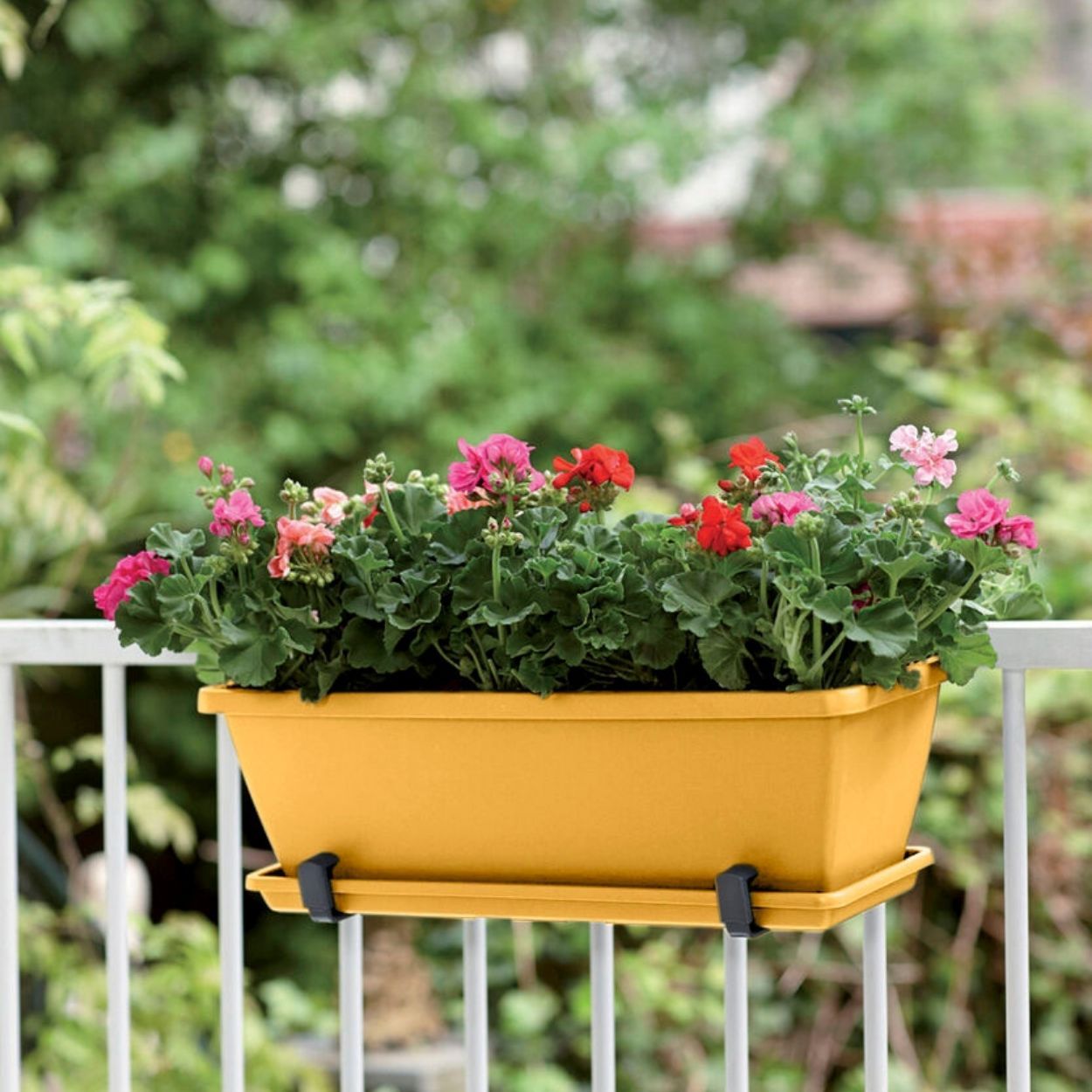 Barcelona Trough cm 70cm Yellow