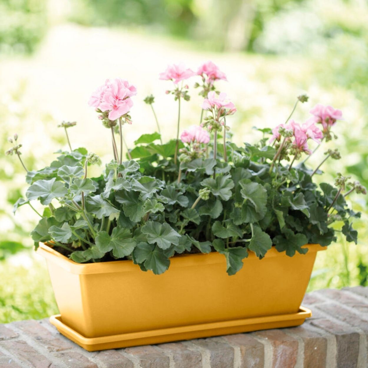 Barcelona Trough cm 40cm Yellow