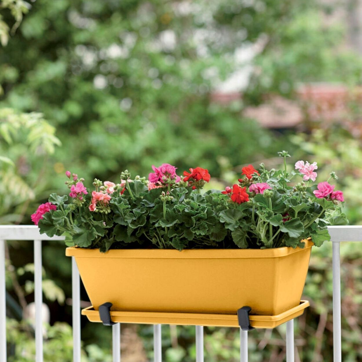 Barcelona Trough cm 40cm Yellow