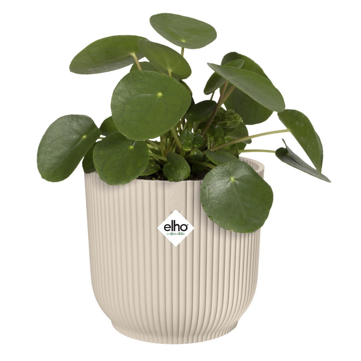 Vibes Fold Round 18cm White