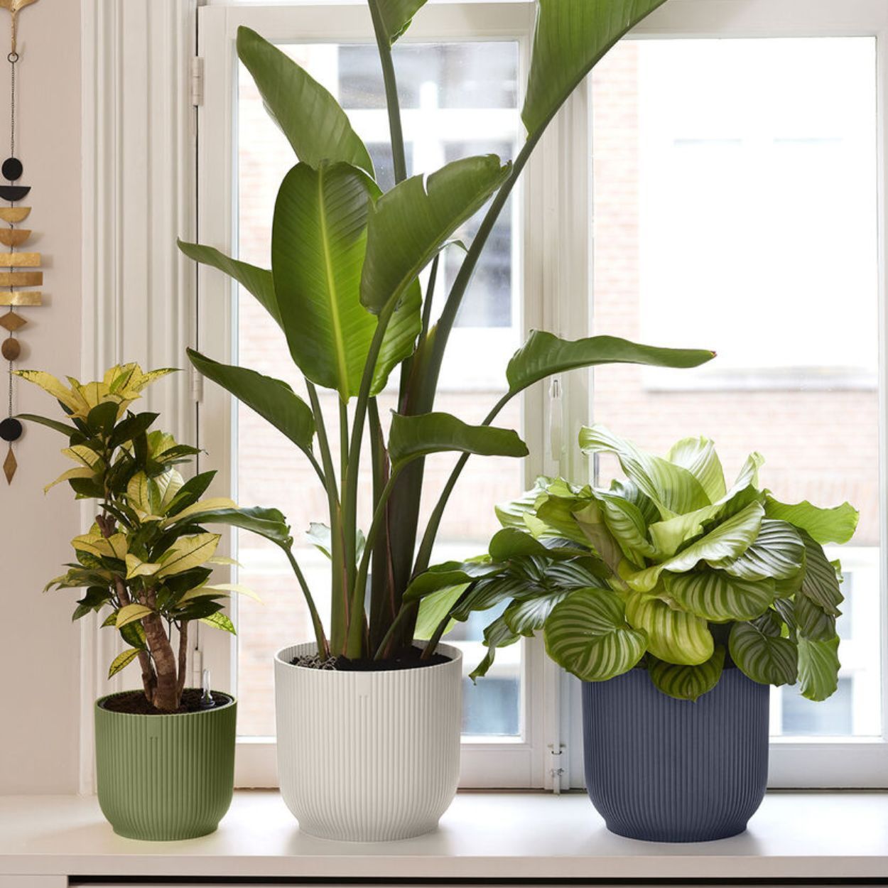 Vibes Fold Round 18cm Black