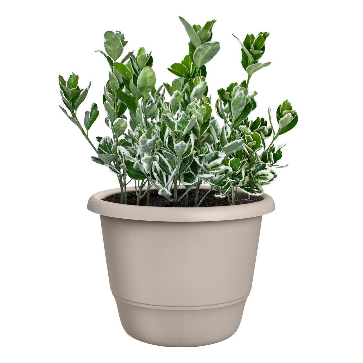 Amiga Round 30cm Beige