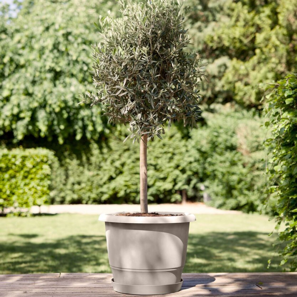 Amiga Round 30cm Beige