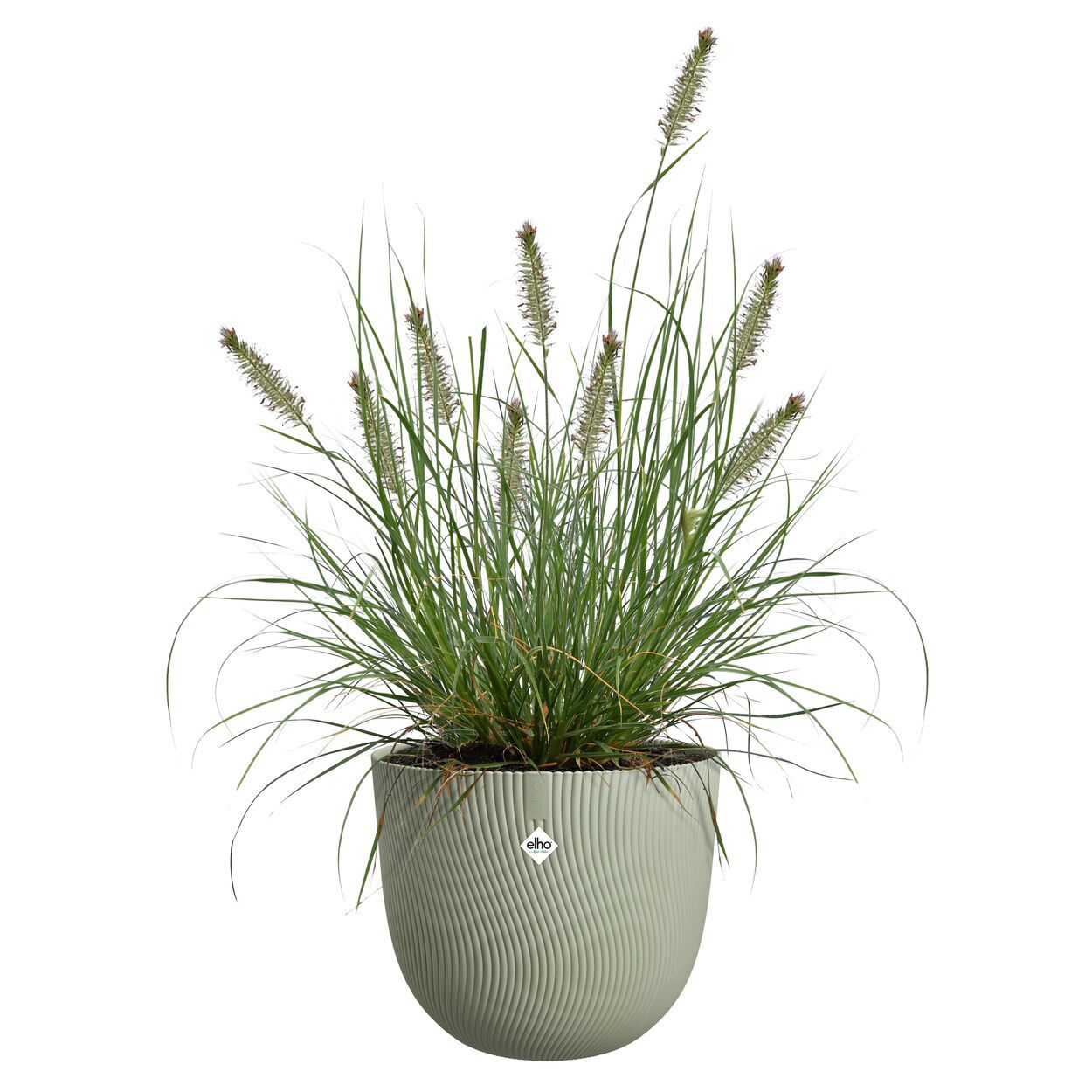 Sereh Round 40cm Green