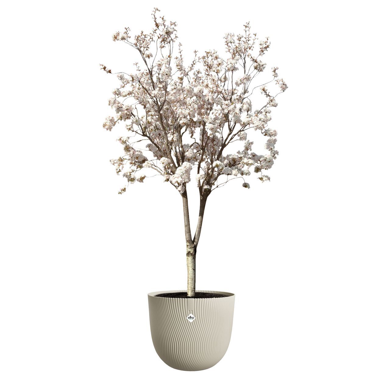 Sereh Round 47cm Beige