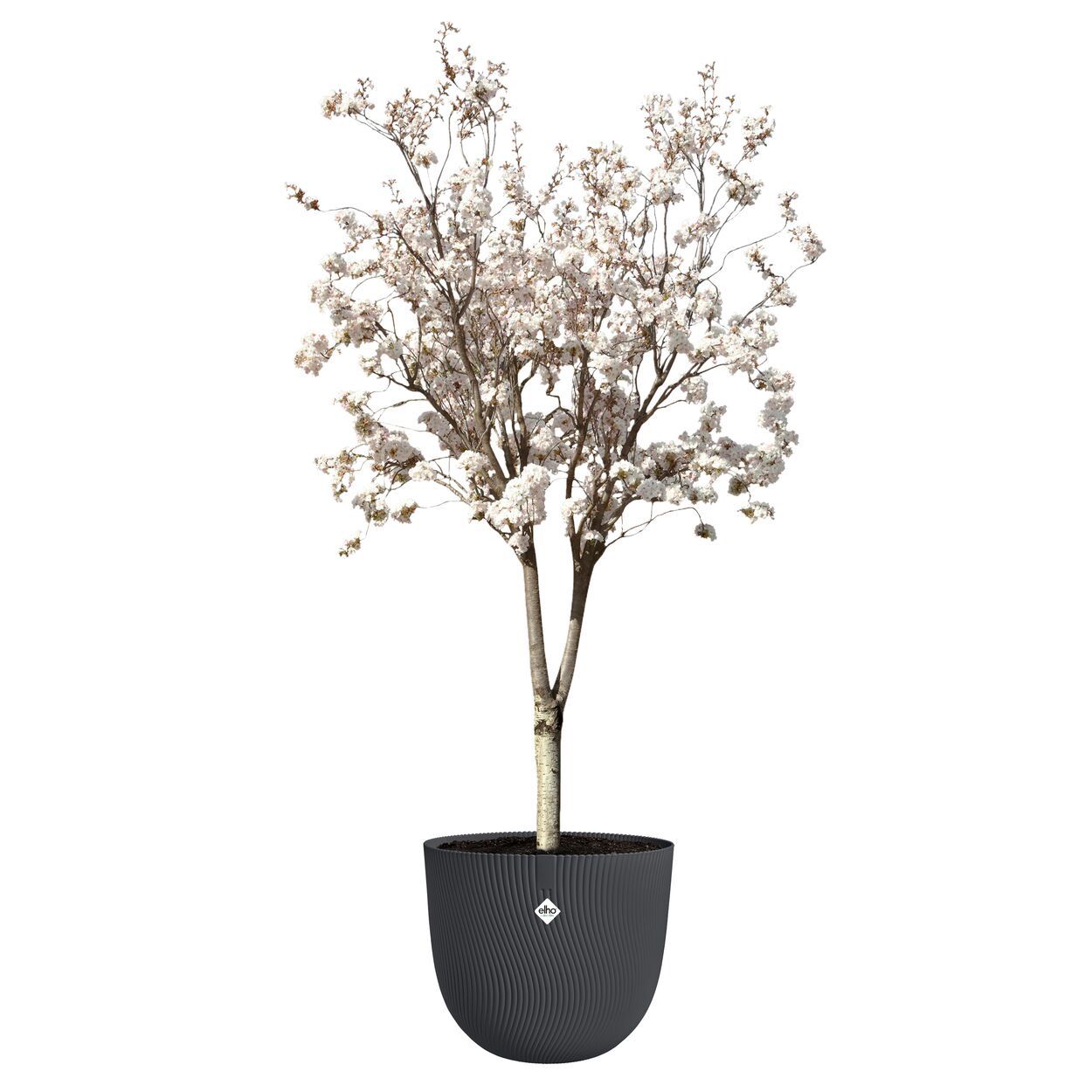 Sereh Round 47cm Black