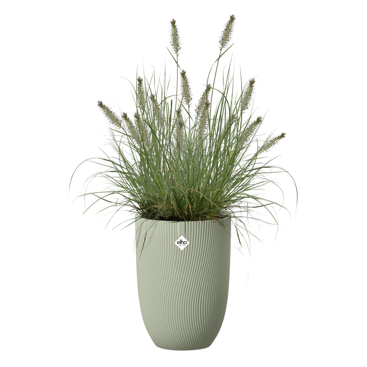 Sereh High 30cm Green