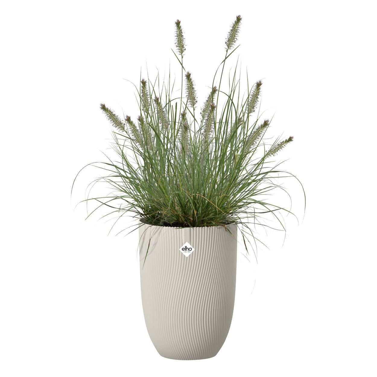 Sereh High 30cm Beige