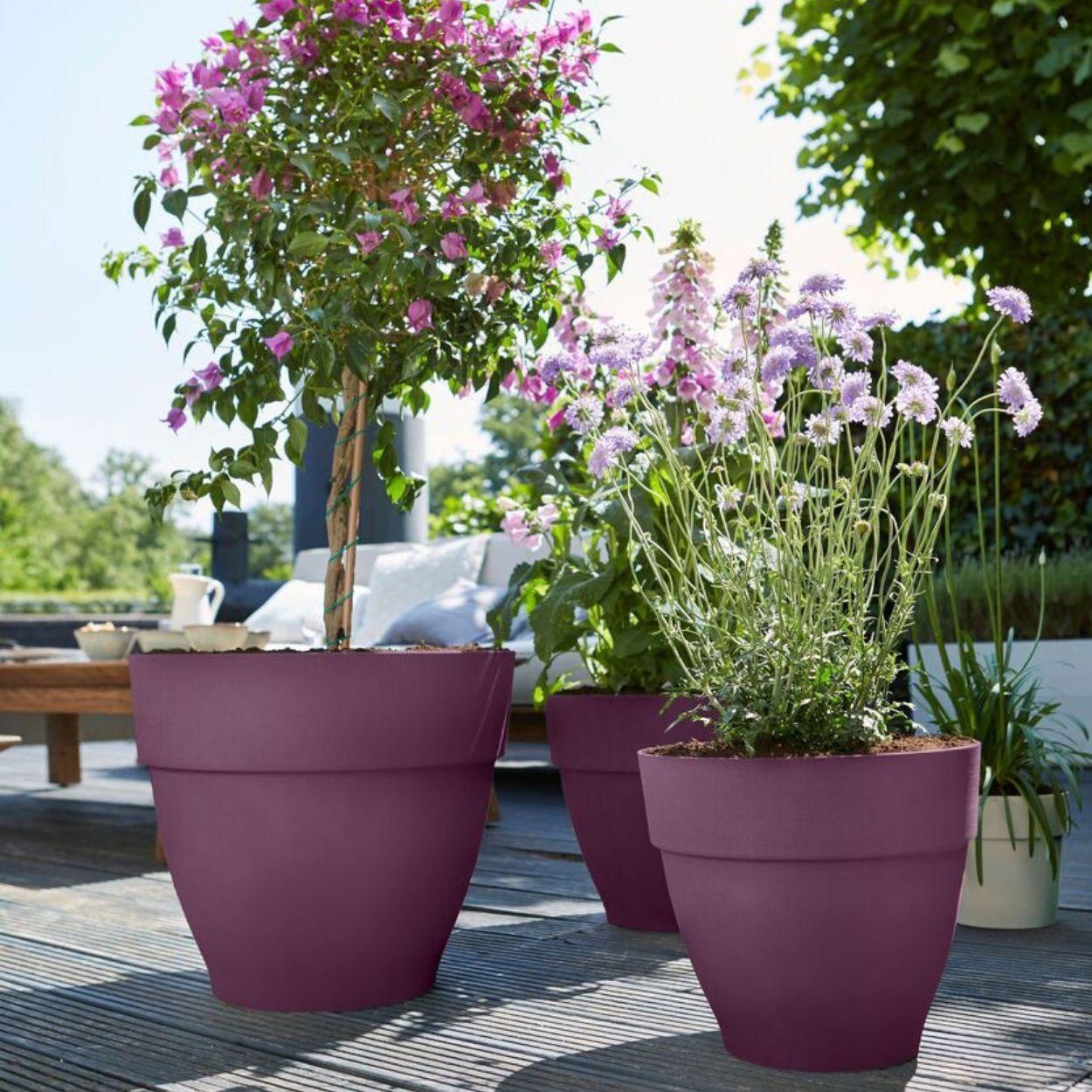 Vibia Campana Round 35cm Purple