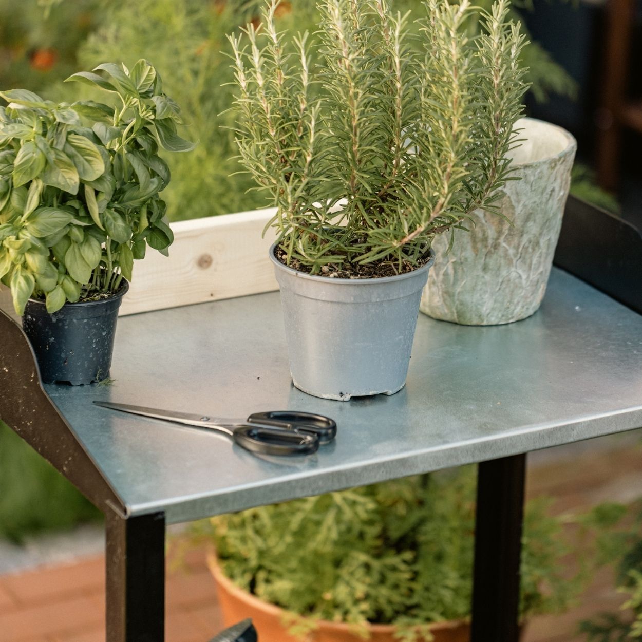 Planting Table Modern 92cm Natural