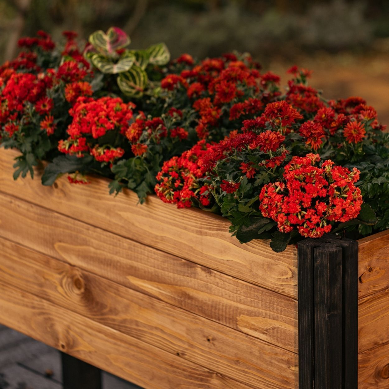 Puzzle Elevated Planter 15cm Black Brown