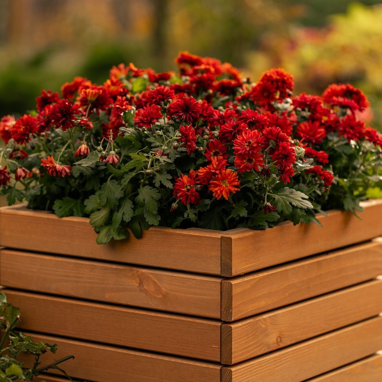 ProPlanter Single 35cm