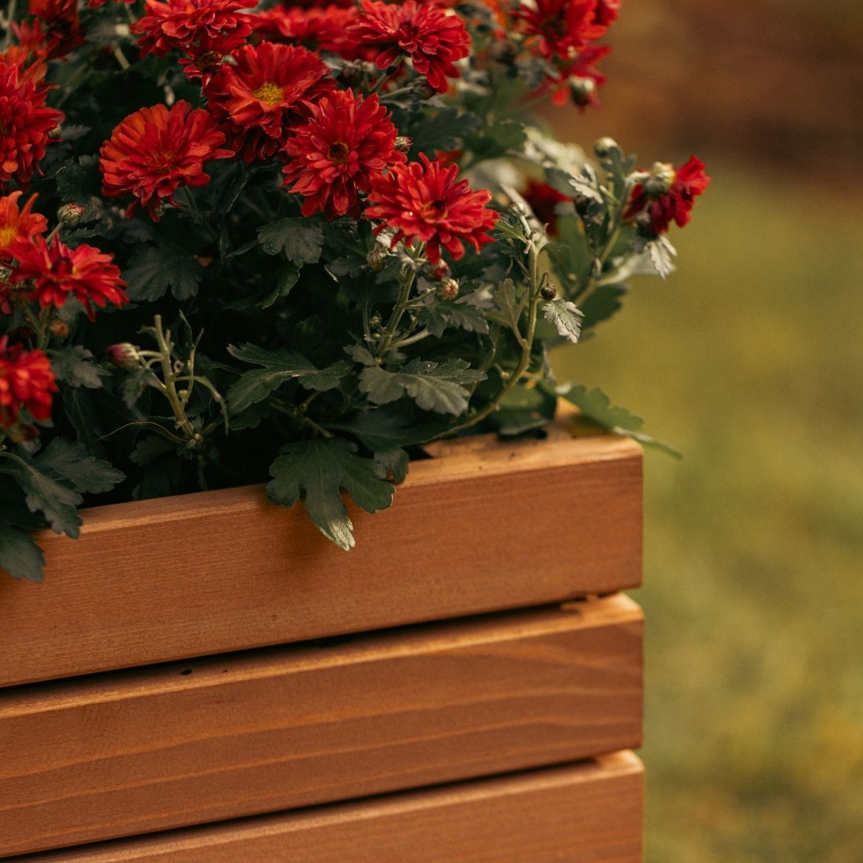ProPlanter Single 35cm