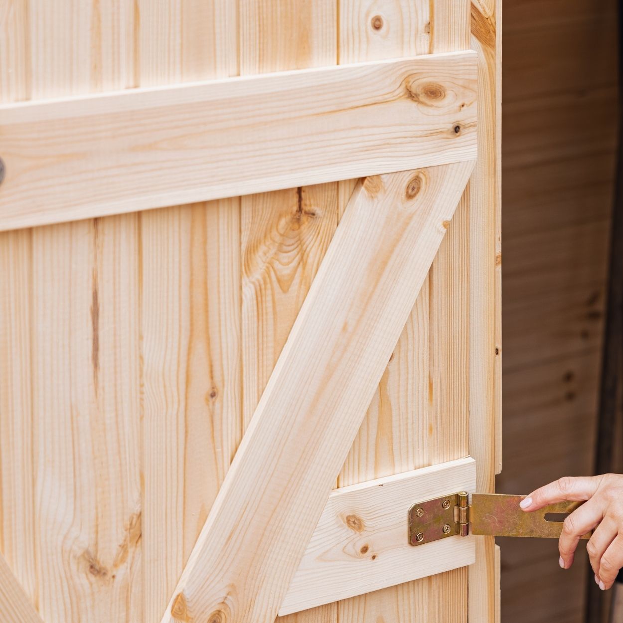 Upyard Tool Shed With Shelving System