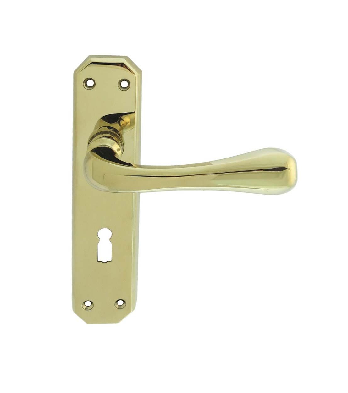 Eden Lever On Backplate Lock 57Mm
