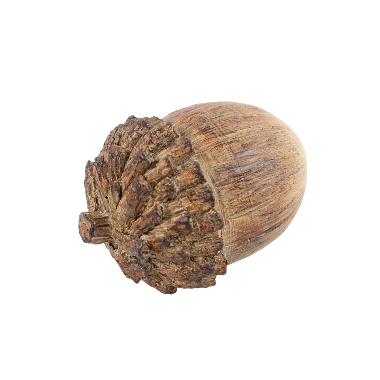 Acorn Brown 11 x 7cm