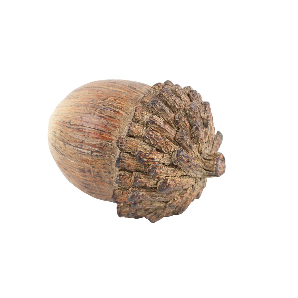 Acorn Brown 11 x 7cm