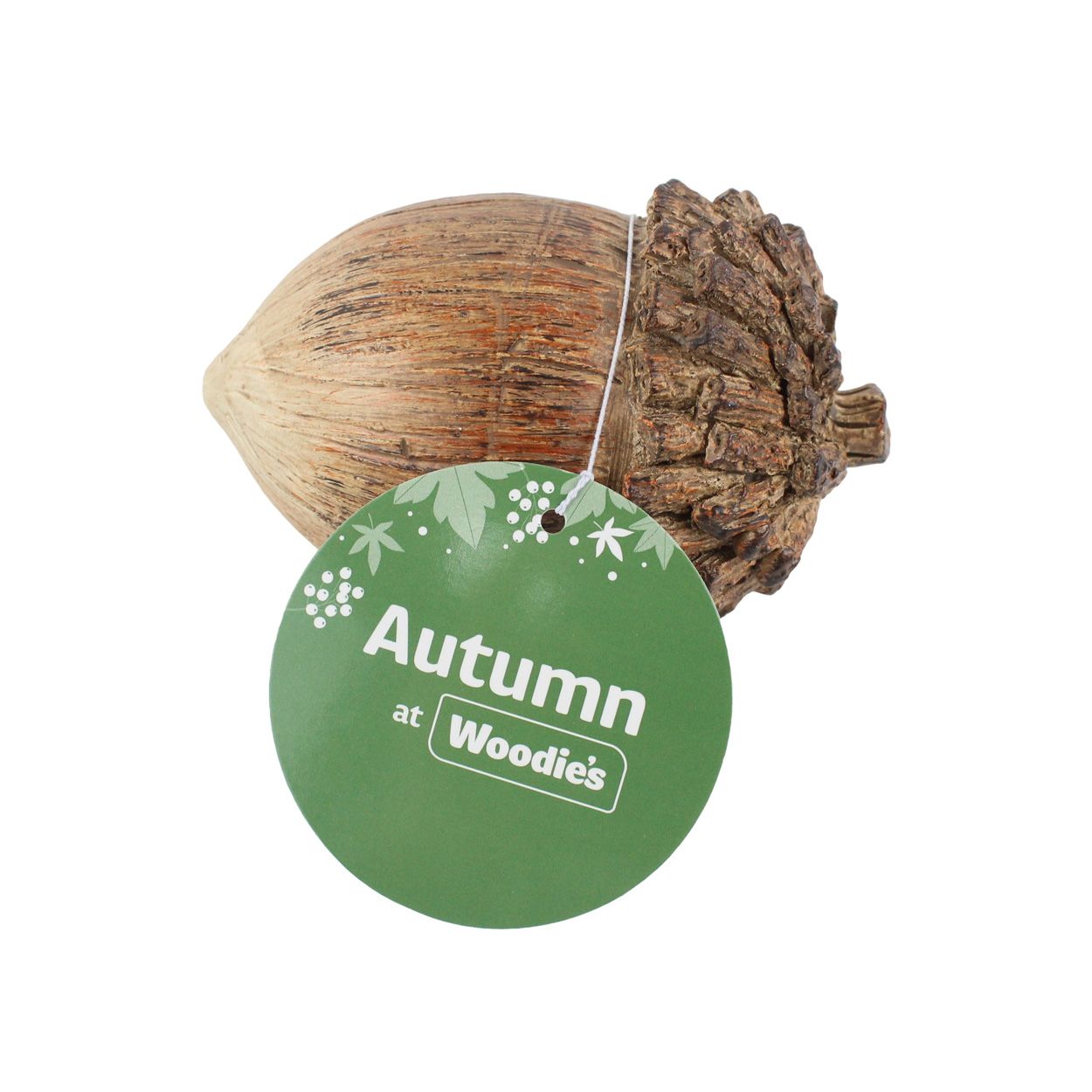 Acorn Brown 11 x 7cm