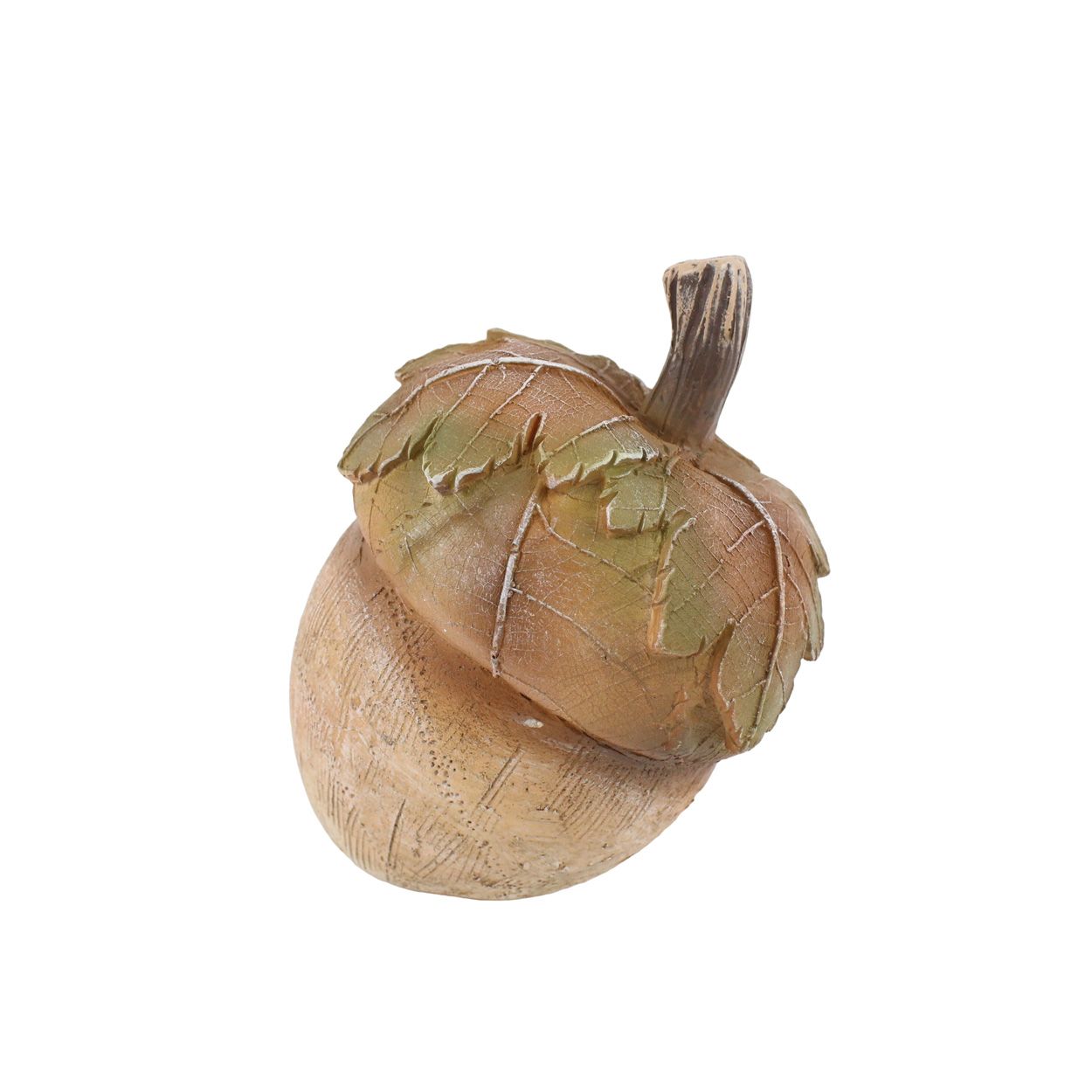 Acorn Brown 10 x 11cm