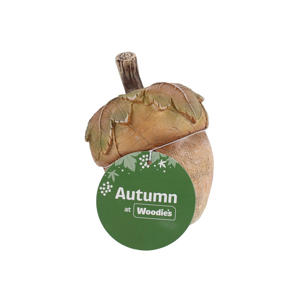 Acorn Brown 10 x 11cm