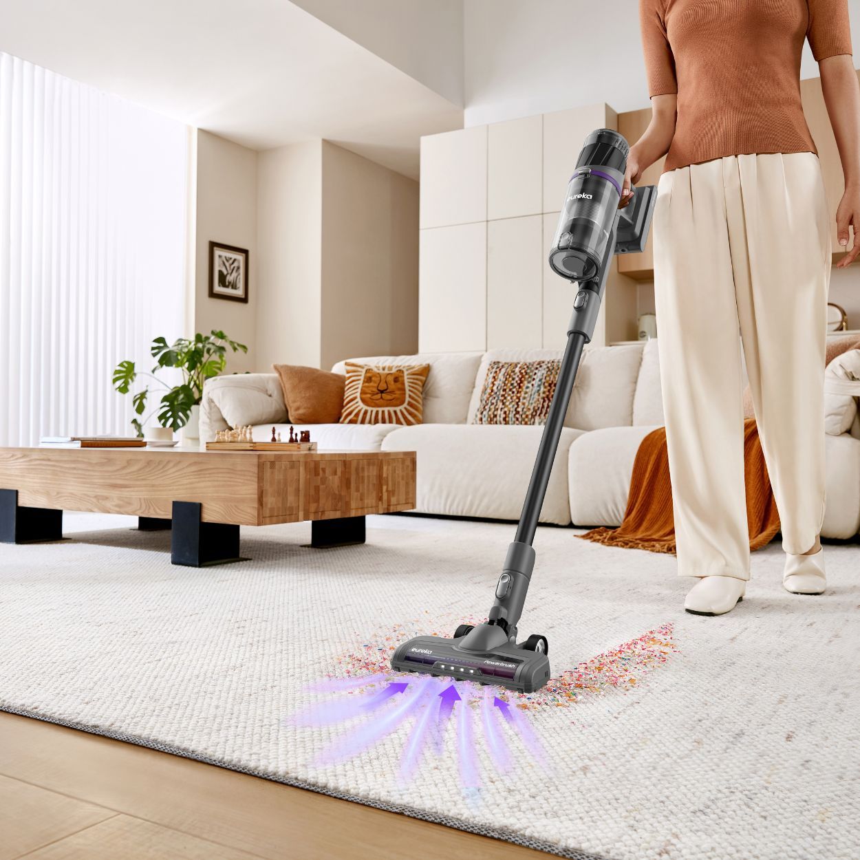 Eureka 2 in 1 Cordless Vavuum