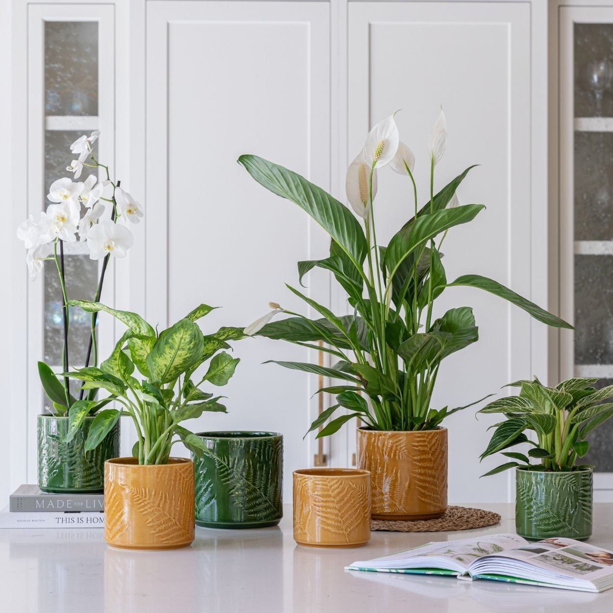 Orla Glazed Planter Fern Green 12cm
