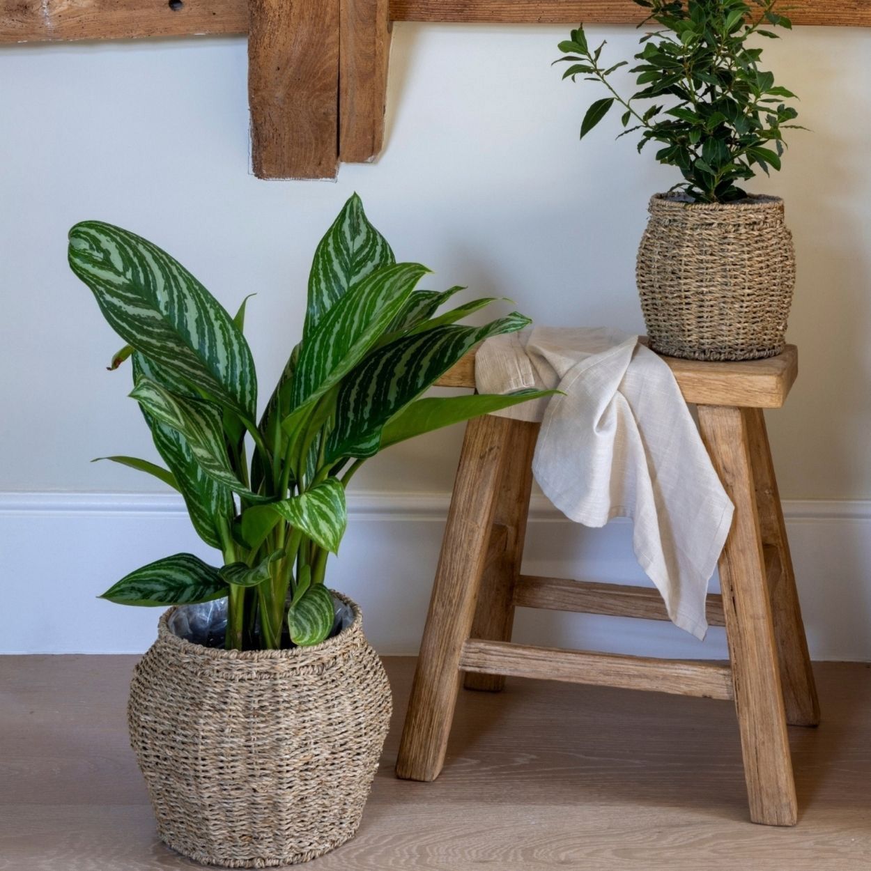 Tula Tapered Seagrass Planter 24cm