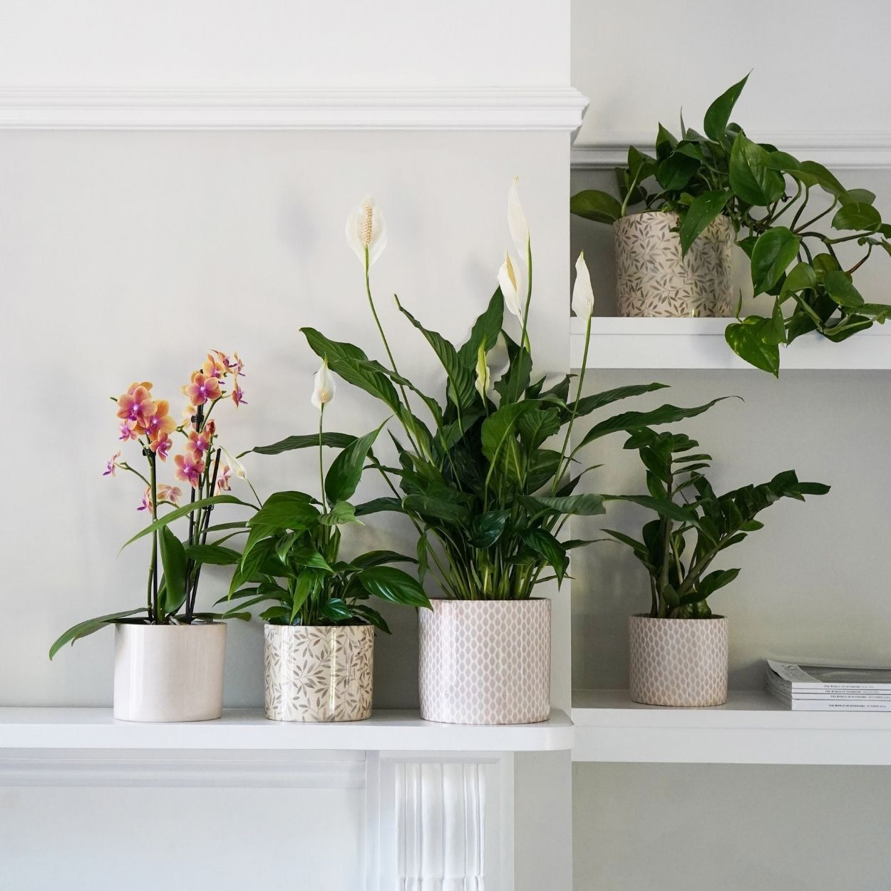 Lazzaro Garland Planter Taupe 13cm