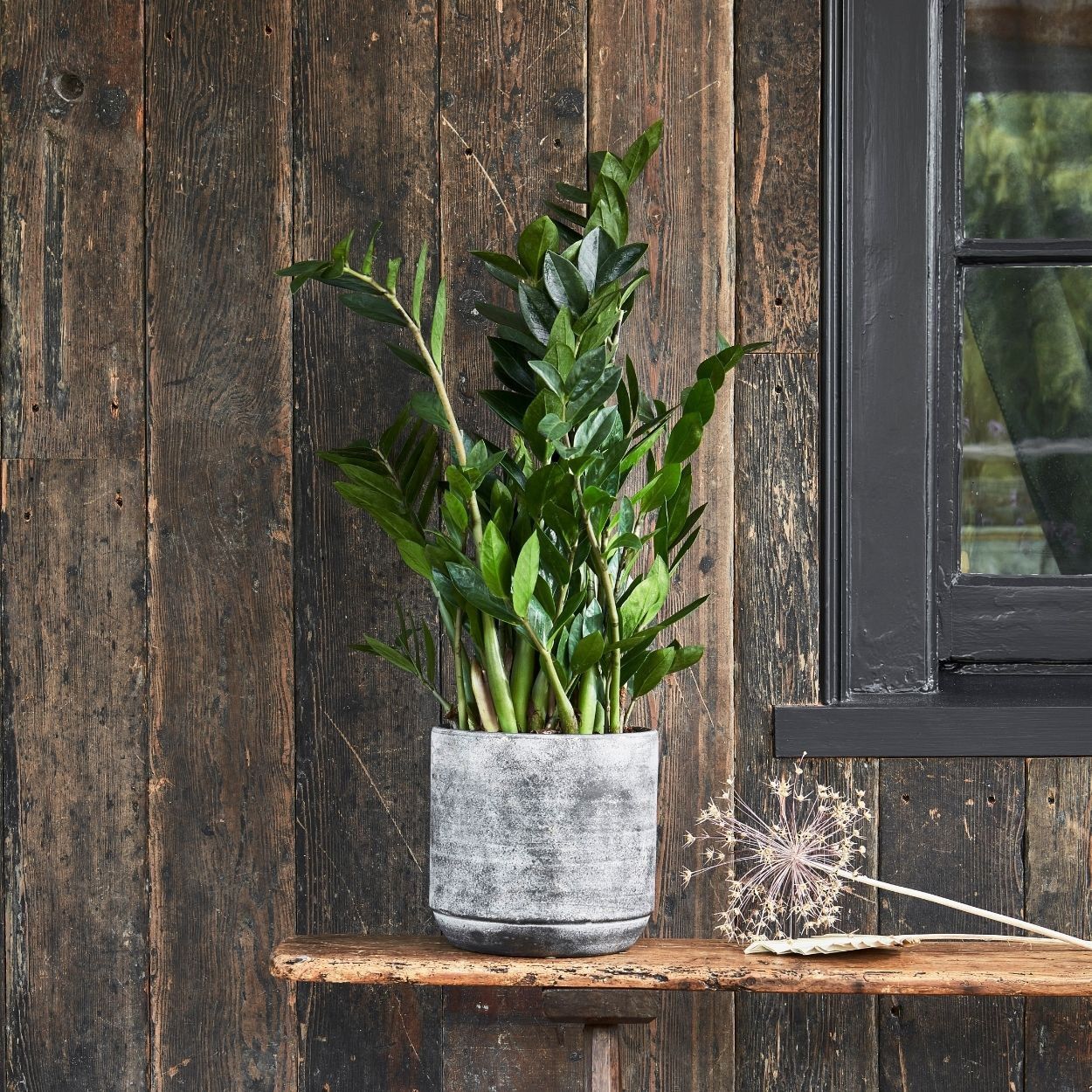 Tivoli Planter Earth Brown 17cm