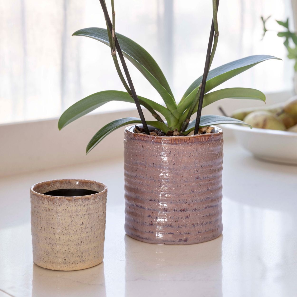 Chambray Rustic Planter Ivory 11cm
