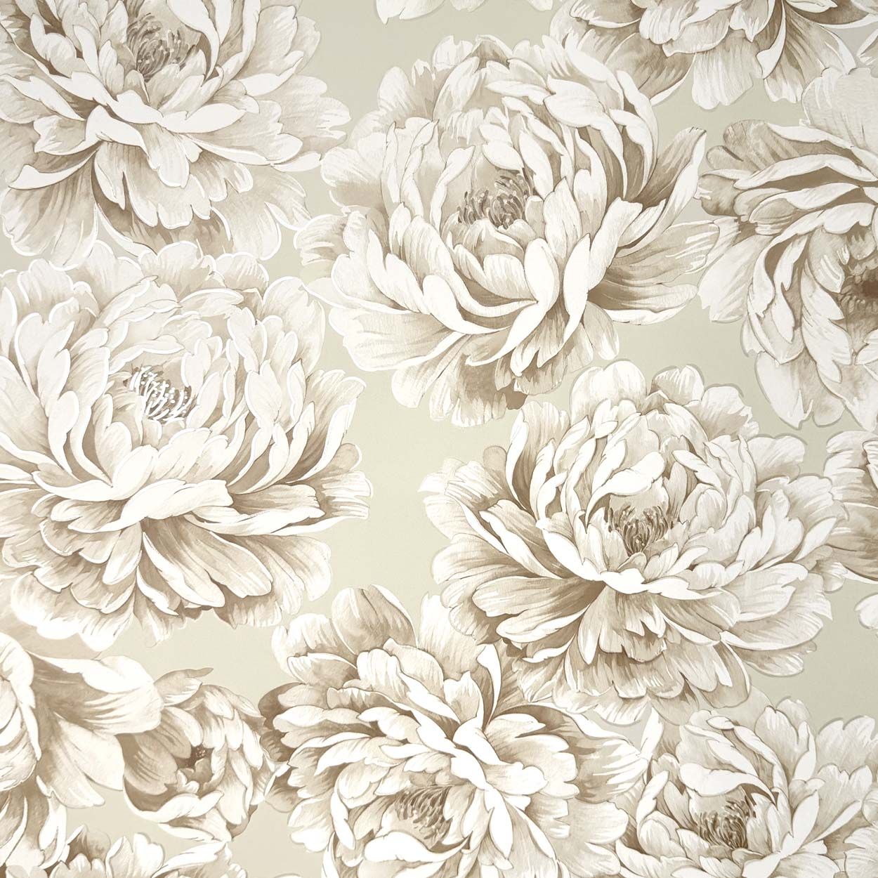 Distinctive Imogen Floral Wallpaper, Natural