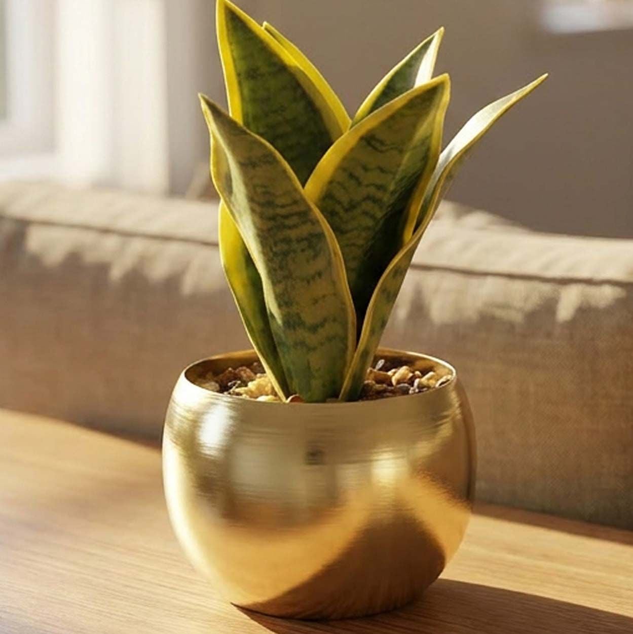 Mini Artificial Snake Plant