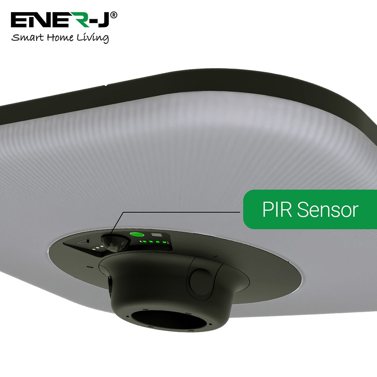 Ener - J 240W Pir Solar Garden Light With Water Tank Stand 25W Solar Panel 24Ah Battery Cct Switchable Black