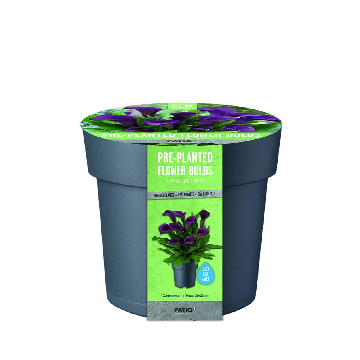 Pot Small - Calla Paco X 1