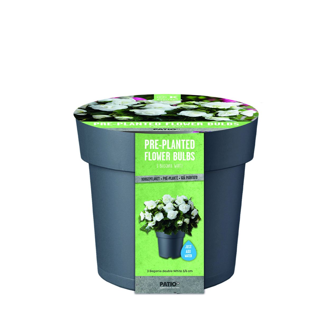 Pot Small - Begonia Dbl White X 3