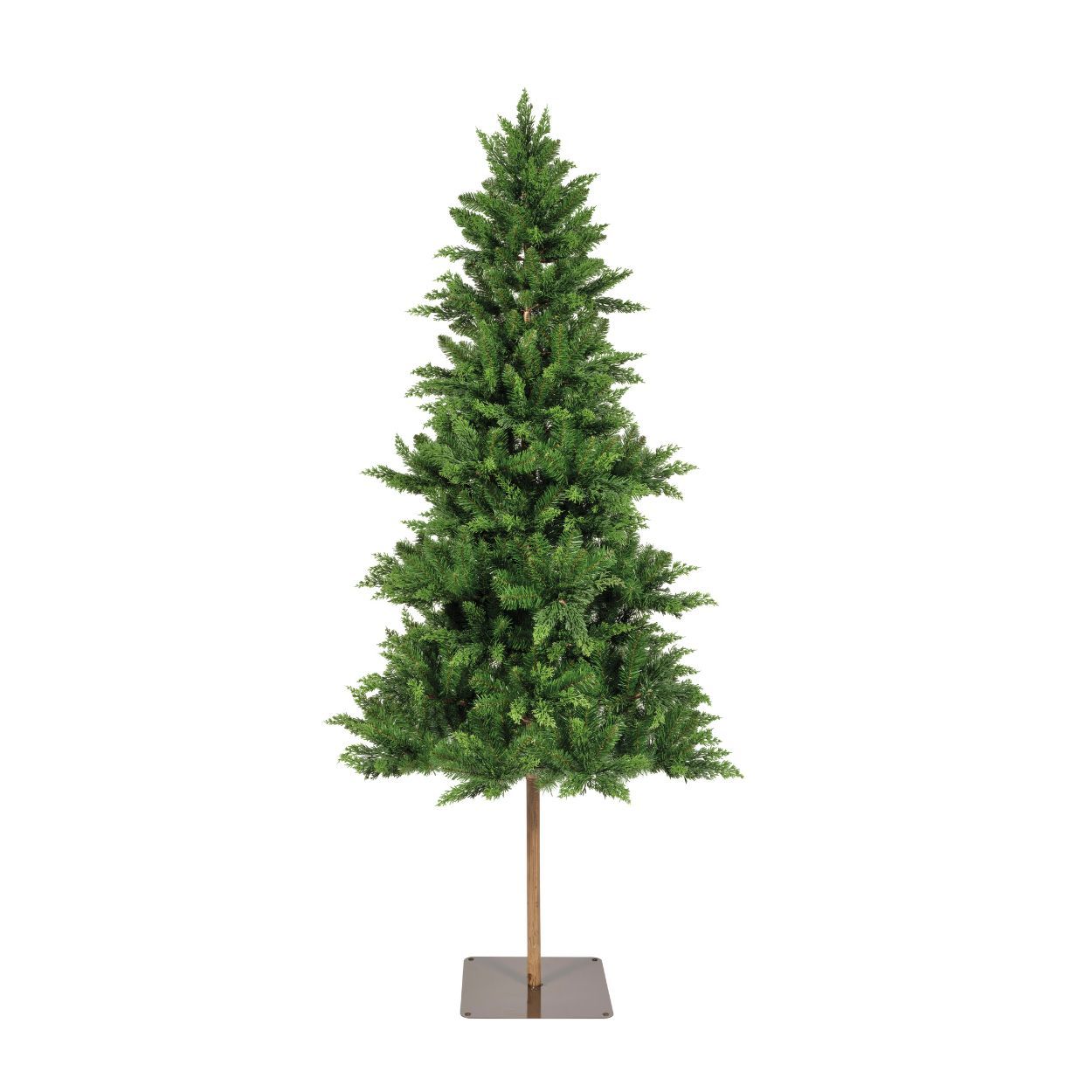7Ft Cedar Tree