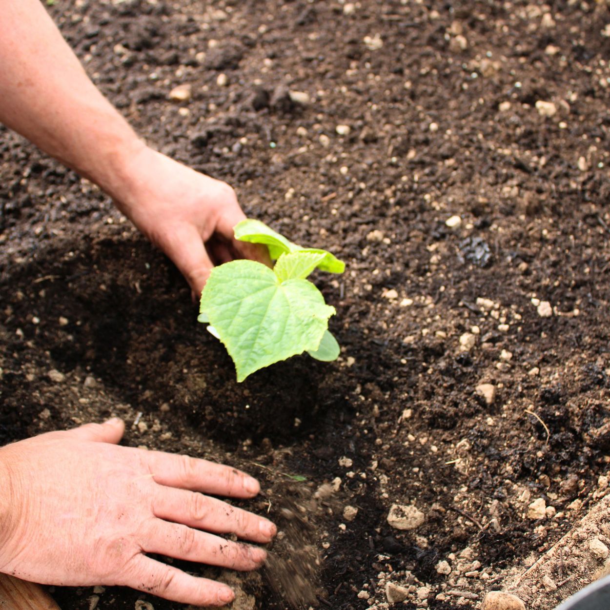 Peat-Free Compost 1m3