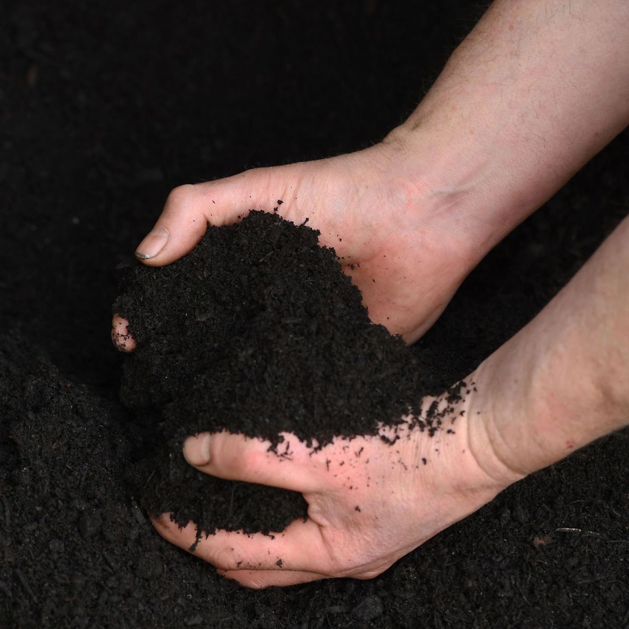 Peat-Free Compost 1m3