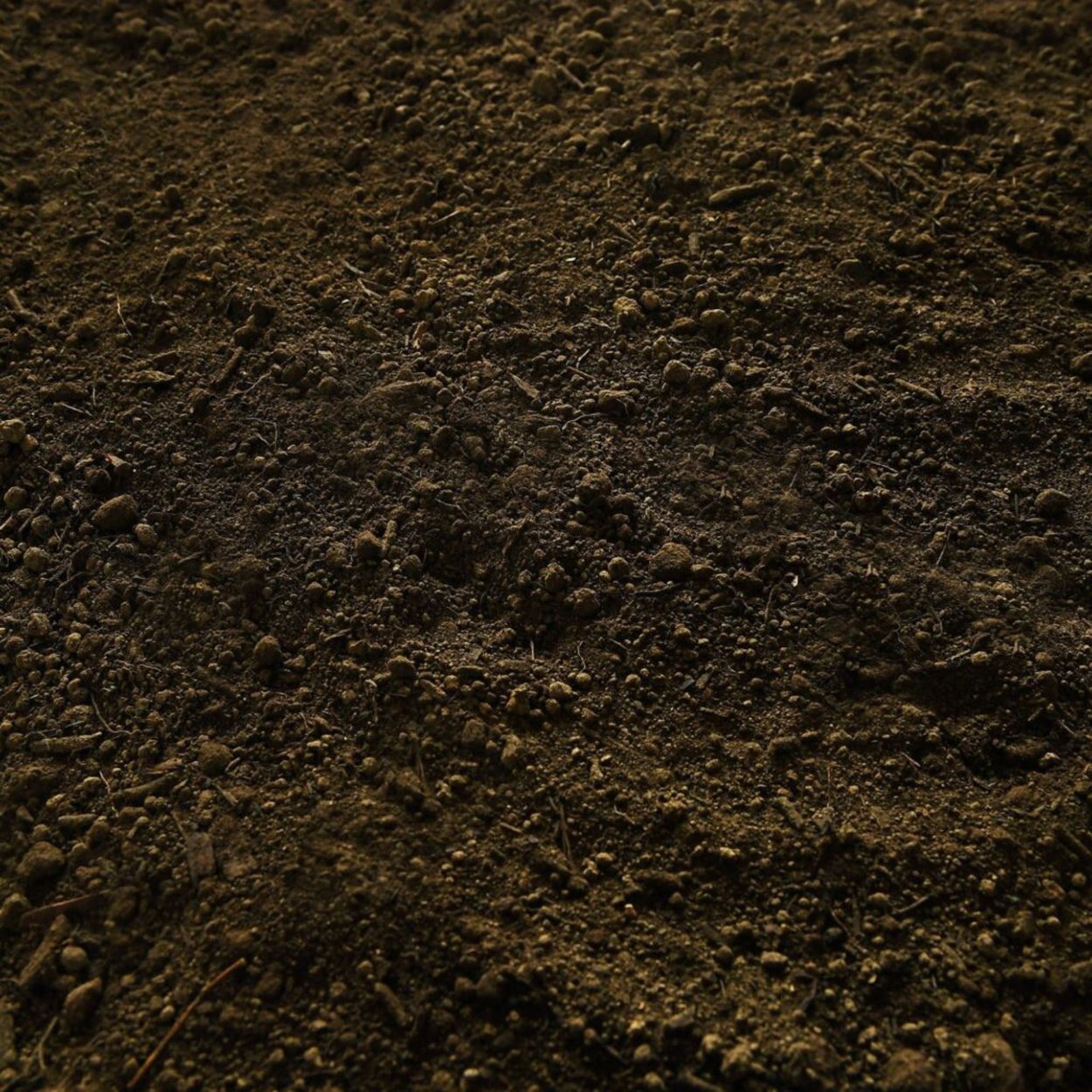 Topsoil 1 Tonne