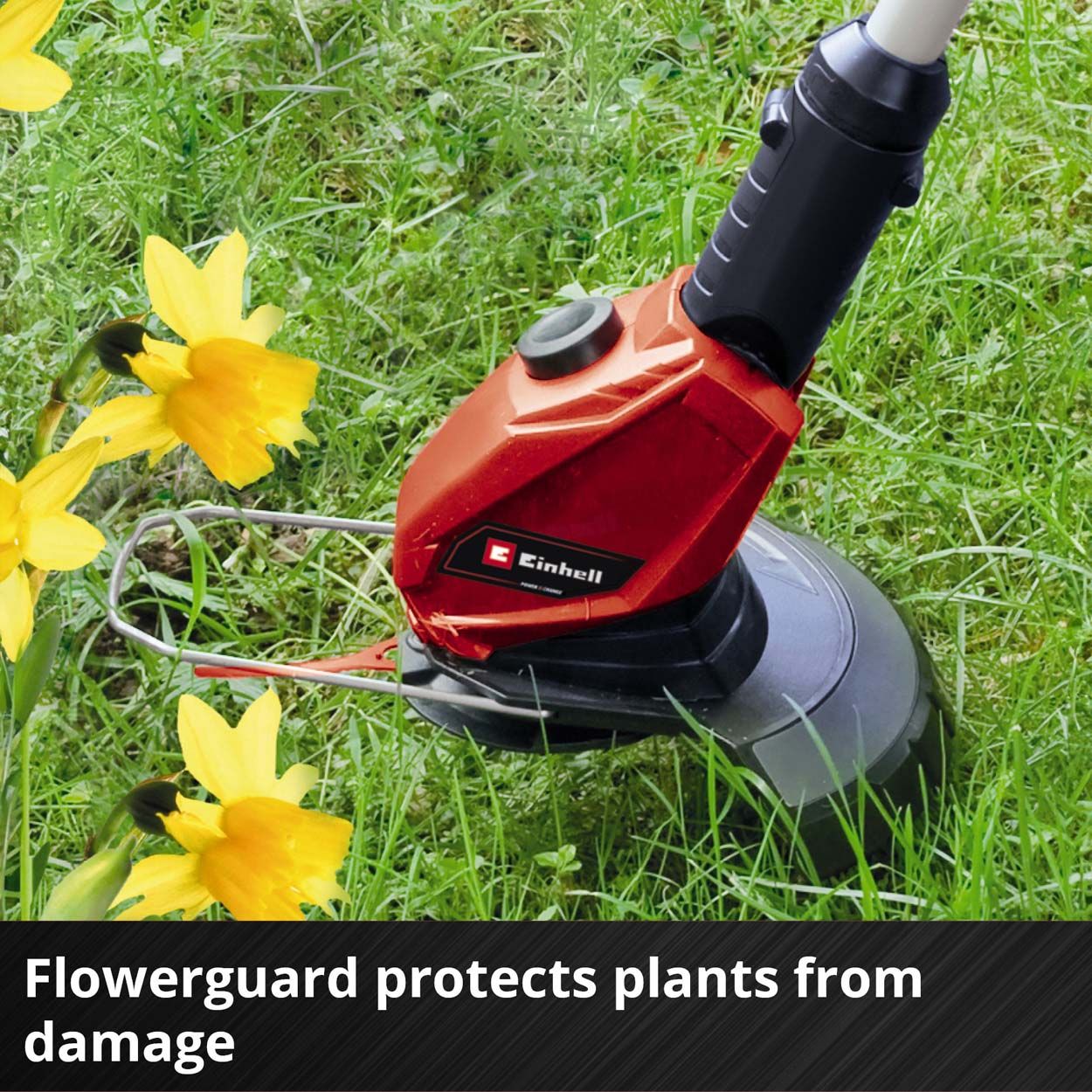 Einhell PXC 18V Cordless Grass Trimmer, 24cm Cutting Width