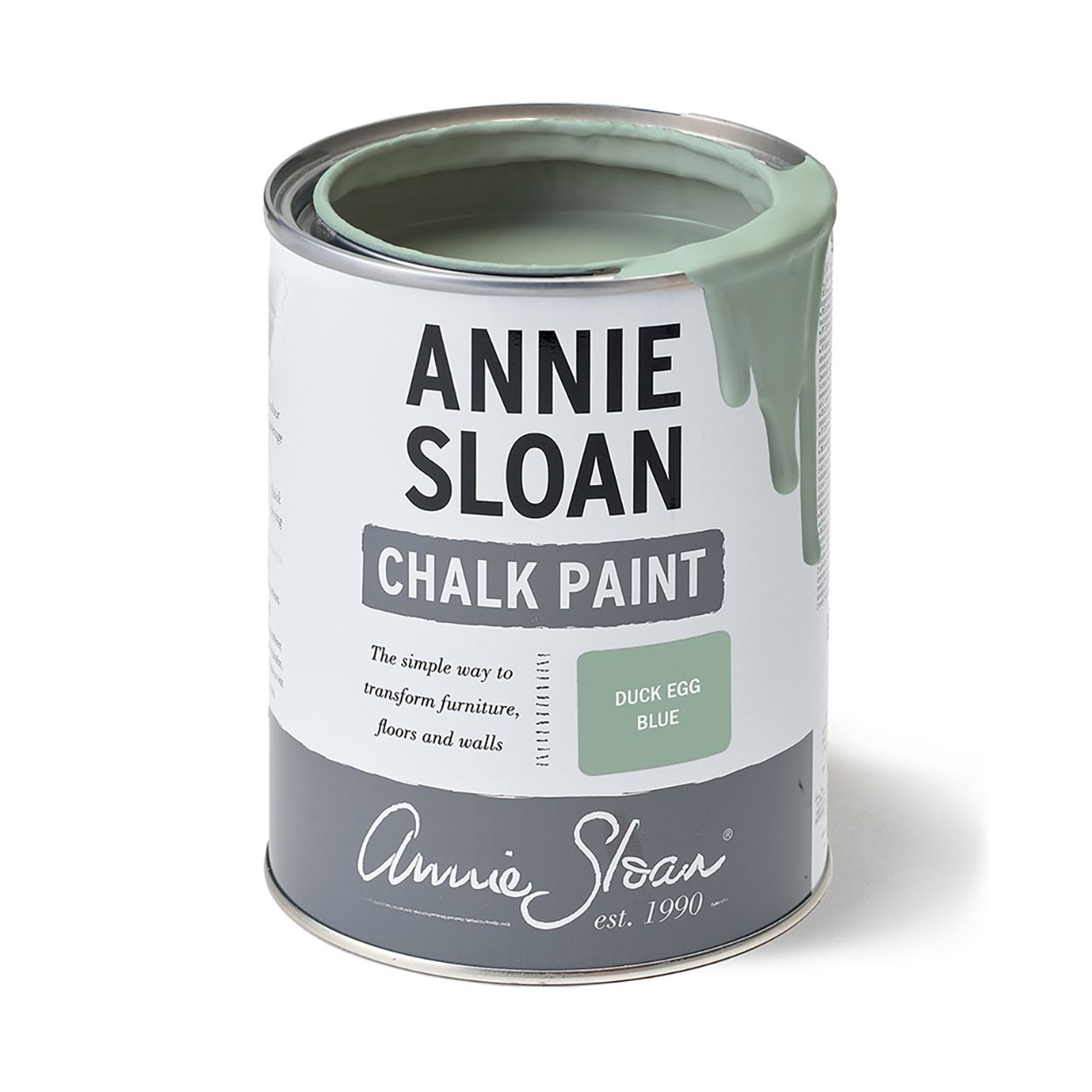 Annie Sloan Chalk Paint Duck Egg Blue 1lt